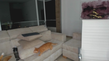Swt_Molly 25-10-2021 Porn 
